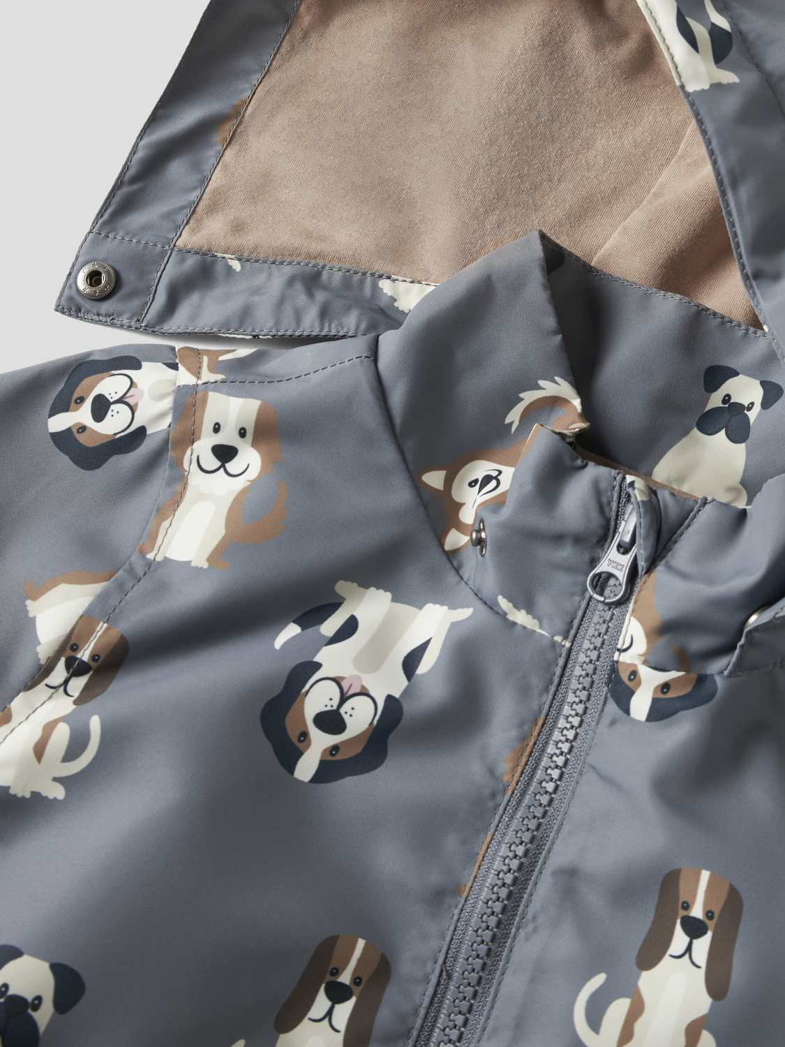 model_shot-front_full